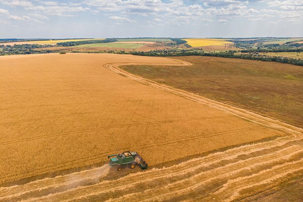 fratii paval isi consolideaza prezenta in agricultura au achizitionat terenuri agricole in tulcea si braila prin preluarea firmei dueci agro 67d8269c505c1