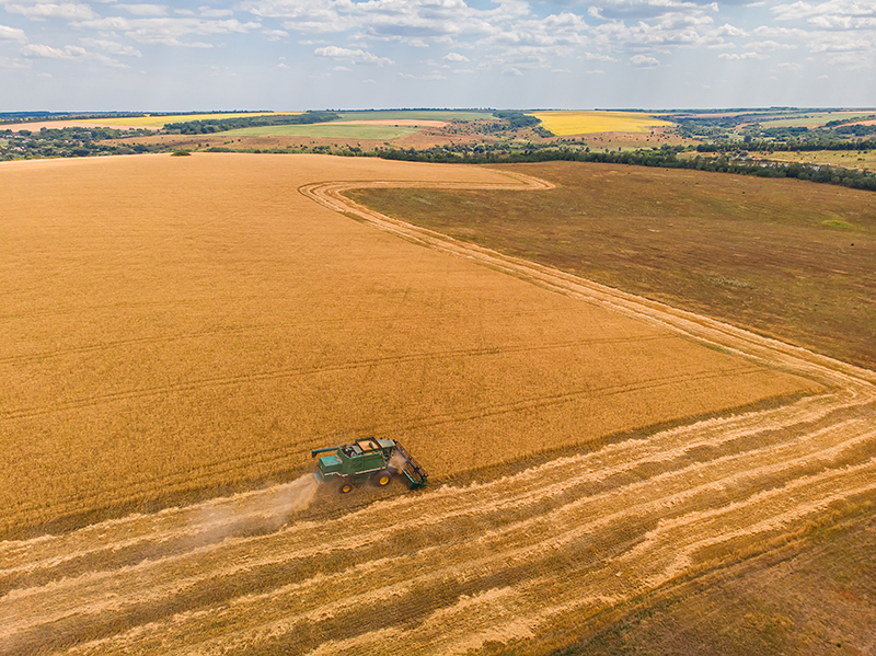 fratii paval isi consolideaza prezenta in agricultura au achizitionat terenuri agricole in tulcea si braila prin preluarea firmei dueci agro 67d8269c505c1