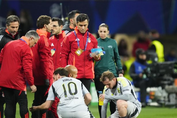 galerie foto barcelona benfica oprit in minutul 15 uefa si cele doua echipe si au dat acordul 67d0905fca680