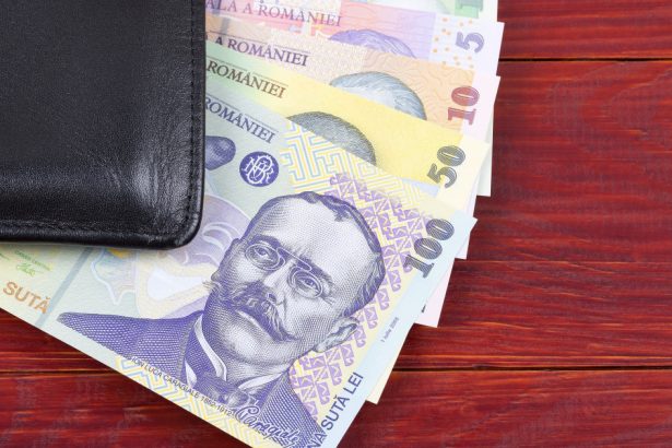guvernul aproba ajutoare de 800 de lei pentru pensionarii cu venituri mici cand va fi acordata prima transa 67d2ae130f0ac