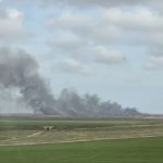Incendii de stuf în județul Tulcea: Vegetația a fost afectată în zona localității Baia 2 incendii de stuf in judetul tulcea vegetatia a luat fost in zona localitatii baia 67e00c1607b8c