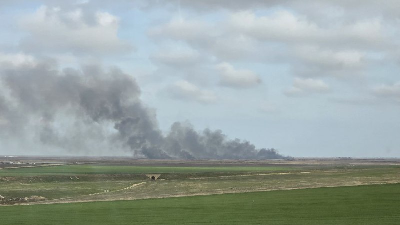 incendii de stuf in judetul tulcea vegetatia a luat fost in zona localitatii baia 67e00c1607b8c