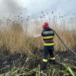 incendiu de vegetatie intre venus si saturn doua autospeciale de stingere au intervenit la fata locului 67d5413cf38f8