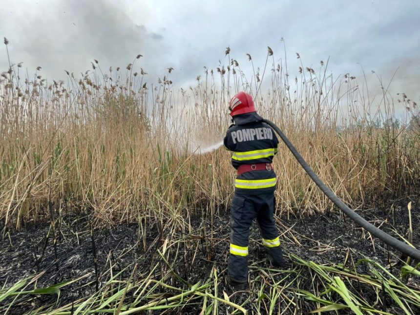 Incendiu de vegetație între Venus și Saturn: Intervenția a două autospeciale de stingere la fața locului 1 incendiu de vegetatie intre venus si saturn doua autospeciale de stingere au intervenit la fata locului 67d5413cf38f8
