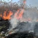 incendiu langa parcul national grindul lupilor din tulcea 67c56b4f392ec