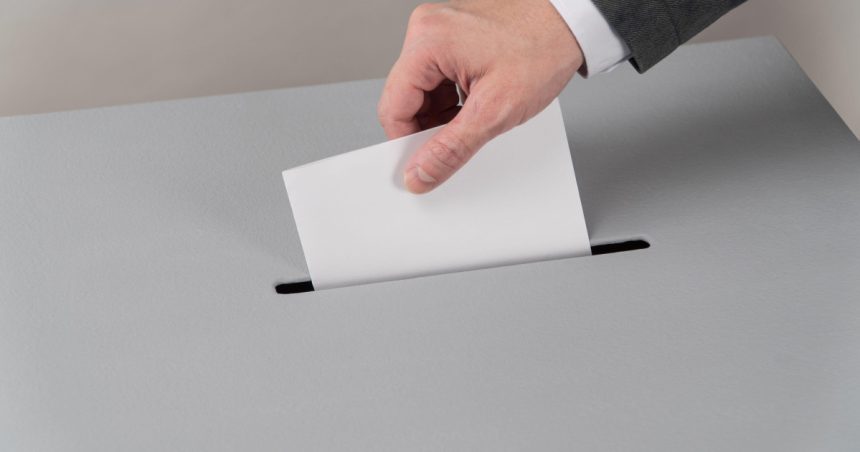 Începe perioada electorală pentru alegerile locale parțiale din 4 mai. 1 incepe perioada electorala pentru alegerile locale partiale din 4 mai 67e917931d5b4