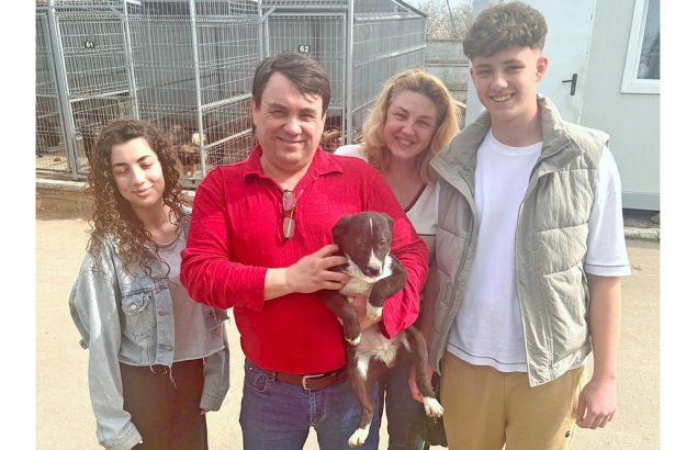lucky si a gasit drumul acasa puiutul de la adapostul din constanta a fost adoptat 67e2f1e2ef2ec