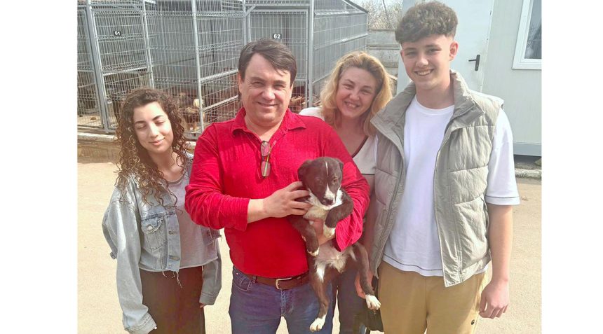 Lucky și-a găsit drumul ACASĂ: Puiuțul de la adăpostul din Constanța a fost adoptat. 1 lucky si a gasit drumul acasa puiutul de la adapostul din constanta a fost adoptat 67e2f1e2ef2ec