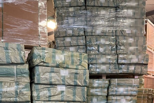 mii de produse susceptibile a fi contrafacute in valoare de aproximativ 3 8 milioane lei descoperite de politistii de frontiera constanteni 67cacf56dc4b8