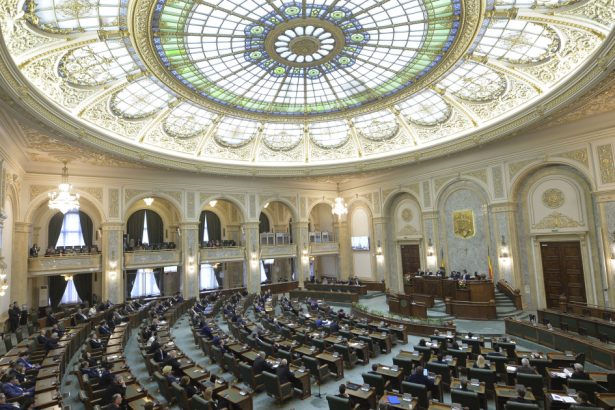 ministrul economiei chemat pe 12 martie in senat la ora guvernului usr ii cere explicatii privind industria romaneasca de aparare 67c5d35e1ffb0