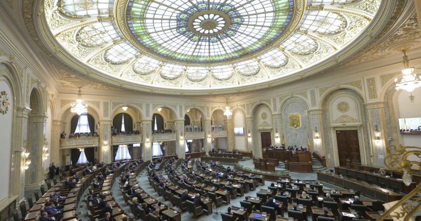 ministrul economiei chemat pe 12 martie in senat la ora guvernului usr ii cere explicatii privind industria romaneasca de aparare 67c5d35e1ffb0