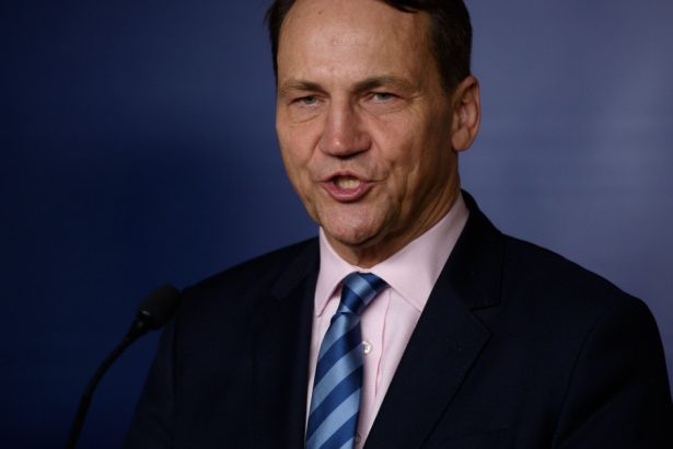 ministrul polonez de externe daca putin e preocupat de sprijinirea ucrainei sa refuze ajutorul din partea coreei de nord si iranului 67dd67c53a28c