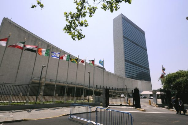 onu despre posibilitatea trimiterii trupelor de mentinere a pacii sub egida sa in ucraina este foarte foarte ipotetica 67e29faa756ef