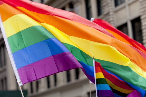 parlamentul ungariei a adoptat o lege prin care sunt interzise paradele gay 67d992d1248f4