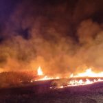 pompierii intervin la un incendiu izbucnit in istria langa cetate 67d09c960b39e