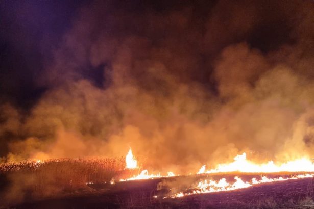 pompierii intervin la un incendiu izbucnit in istria langa cetate 67d09c960b39e