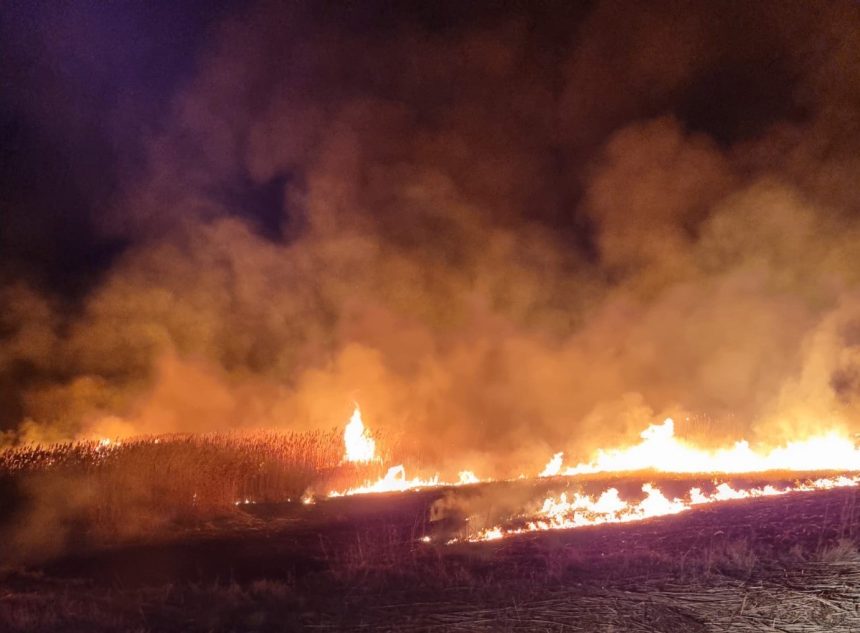 pompierii intervin la un incendiu izbucnit in istria langa cetate 67d09c960b39e
