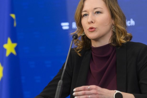 premiera in ue austria va suspenda regruparea familiala a refugiatilor cum motiveaza viena decizia 67e433d29574d