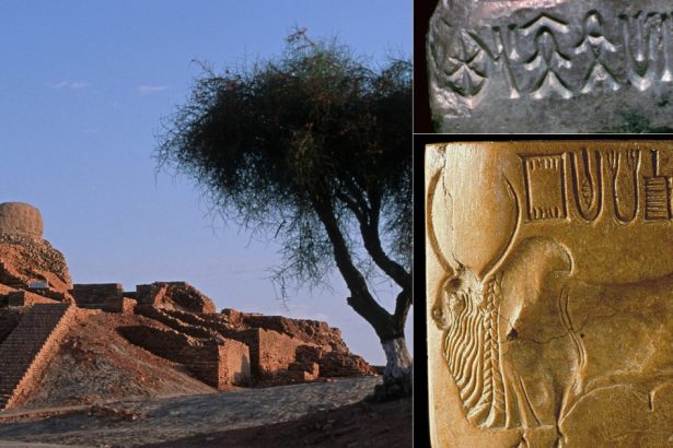 premiu de un milion de dolari oferit pentru descifrarea limbajului unei civilizatii antice niciun simbol nu a fost deslusit inca 67c68a42b6fed