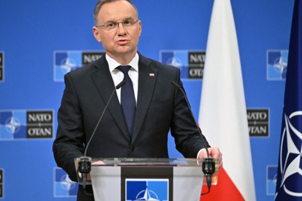 presedintele polonez cere sa fie inclusa in constitutie obligatia de a se aloca apararii un buget de minim 4 din pib 67cb15c4a1935