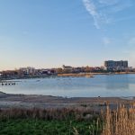 primaria cumpana anunt important suspiciune de gripa aviara la ratele salbatice gasite pe lacul techirghiol cumpana in zona de restrictie a focarului 67c5b1b20fadf