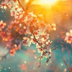prognoza meteo urmeaza zile cu temperaturi de 23 24 de grade zonele in care meteorologii anunta ploi 67cd5d9204e1b