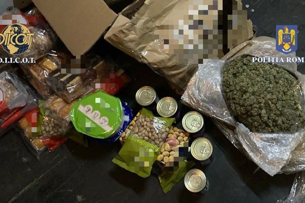 proiect de lege consumatorii de substante interzise ar putea fi internati cu forta 67c5d1567d17a