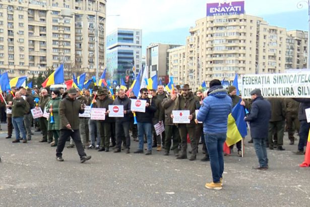 protest in piata victoriei silvicultorii ameninta cu greva generala daca nu le sunt solutionate revendicarile care sunt cerintele lor 67da93f94d625