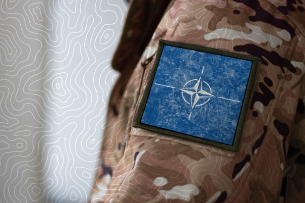 puterile militare din europa lucreaza la un plan pe 5 10 ani pentru a inlocui sua in cadrul nato scrie financial times 67dd0902804b7