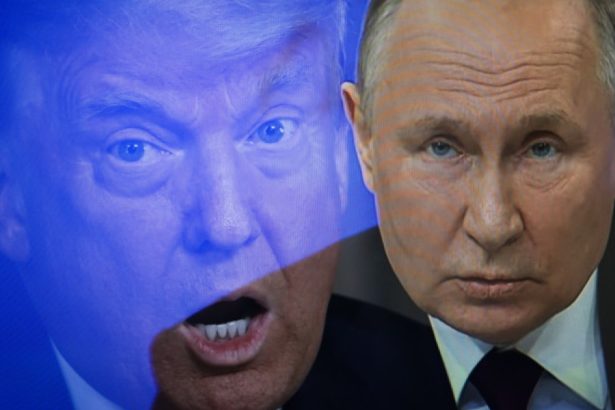 putin i a trimis un mesaj lui donald trump prin emisarul special al liderului american cu care s a intalnit la moscova 67d41801826f5
