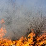 raed arafat apeleaza la ajutorul preotilor pentru a limita numarul incendiilor de vegetatie cum vor interveni acestia 67cda72fe39f7