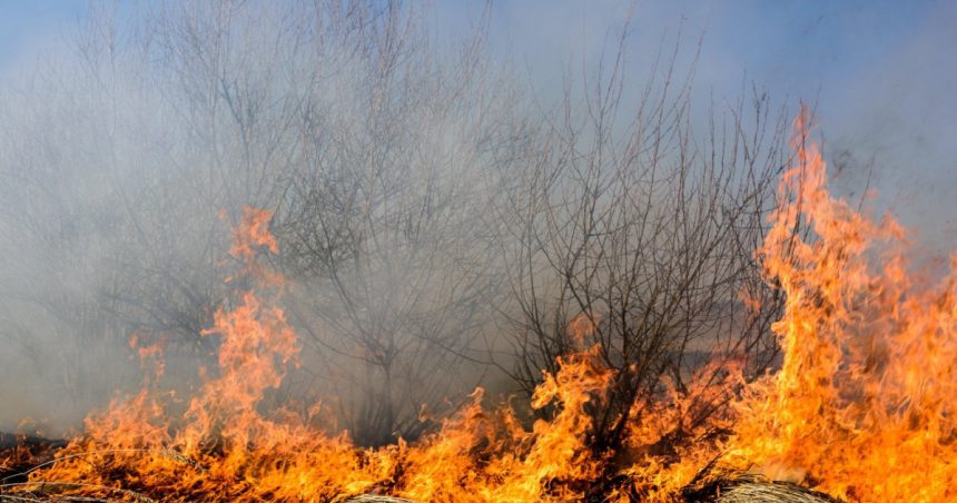 raed arafat apeleaza la ajutorul preotilor pentru a limita numarul incendiilor de vegetatie cum vor interveni acestia 67cda72fe39f7