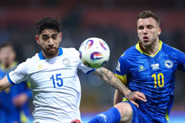 reactia lui ermedin demirovic dupa ce bosnia s a cocotat pe primul loc in grupa romaniei 67e1e1a3bba2a