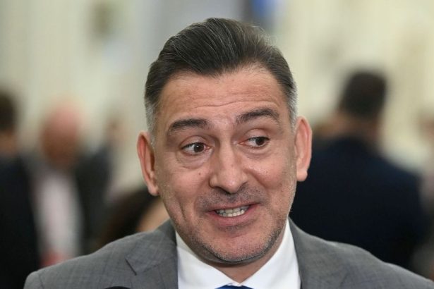 remarcatul lui ilie dumitrescu dupa romania bosnia foarte inteligent 67ded53794f0e