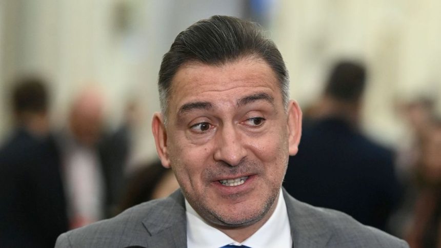 remarcatul lui ilie dumitrescu dupa romania bosnia foarte inteligent 67ded53794f0e