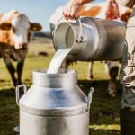 romania importa 60 din produsele lactate pe care le consuma cum vrea statul sa ii ajute pe crescatorii de animale din zonele montane 67d6d3aec0081