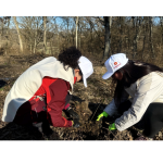 rompetrol isi reafirma angajamentul pentru mediu si cultura printr o noua actiune de impadurire la reghin 67e16839419a1