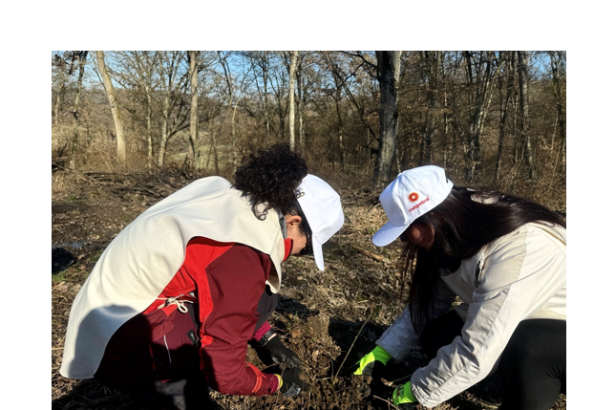 rompetrol isi reafirma angajamentul pentru mediu si cultura printr o noua actiune de impadurire la reghin 67e16839419a1