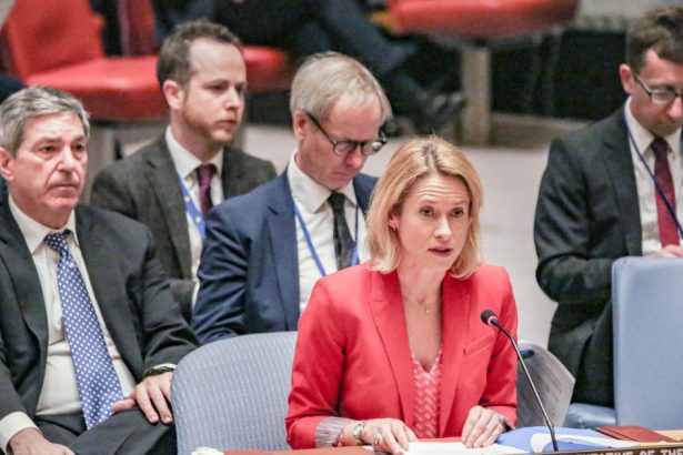 sefa diplomatiei ue a denuntat la onu incalcarile dreptului international in lume vedem incercari de a l inlocui prin domnia fortei 67d0720870e84