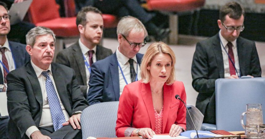 Șefa diplomației UE a denunțat la ONU încălcările dreptului internațional în lume: „Vedem încercări de a-l înlocui prin domnia forței” 1 sefa diplomatiei ue a denuntat la onu incalcarile dreptului international in lume vedem incercari de a l inlocui prin domnia fortei 67d0720870e84