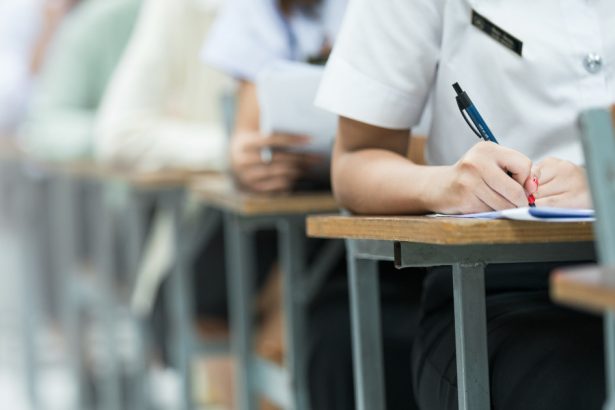 simulare bacalaureat 2025 ce subiecte au primit elevii la limba si literatura materna 67e55b55f2e25
