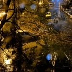 sofer din constanta in proces cu primaria dupa ce un copac i a distrus masina decizia judecatorilor 67de3c13f0c86