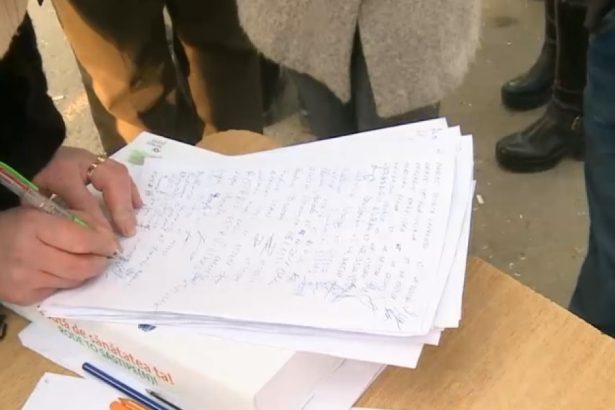solicitare bizara a sefei psdu a cerut membrilor bec sa bage la congelator listele ei cu semnaturi pentru prezidentiale 67dc2ec7365c7