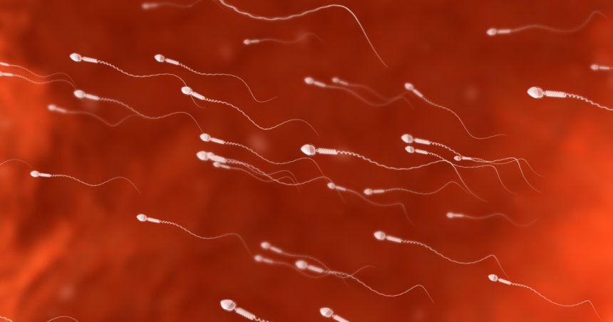 Studiu. Bărbații cu spermă de calitate superioară au o speranță de viață mai mare. Câteva cifre relevante despre acest subiect. 1 studiu barbatii cu sperma de calitate superioara traiesc mai mult cateva cifre despre speranta de viata 67e189c29b943
