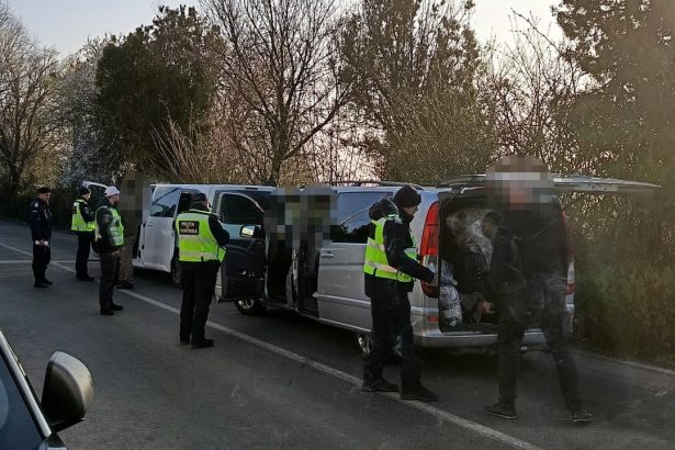 tigari din bulgaria si bunuri contrafacute confiscate de politistii din constanta 67e1418c89fae