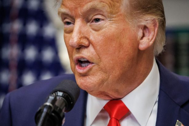 trump ar vrea o schimbare majora a politicii nato sua ar putea sa nu mai apere o tara atacata daca nu a investit destul in aparare 67ca077f2a175
