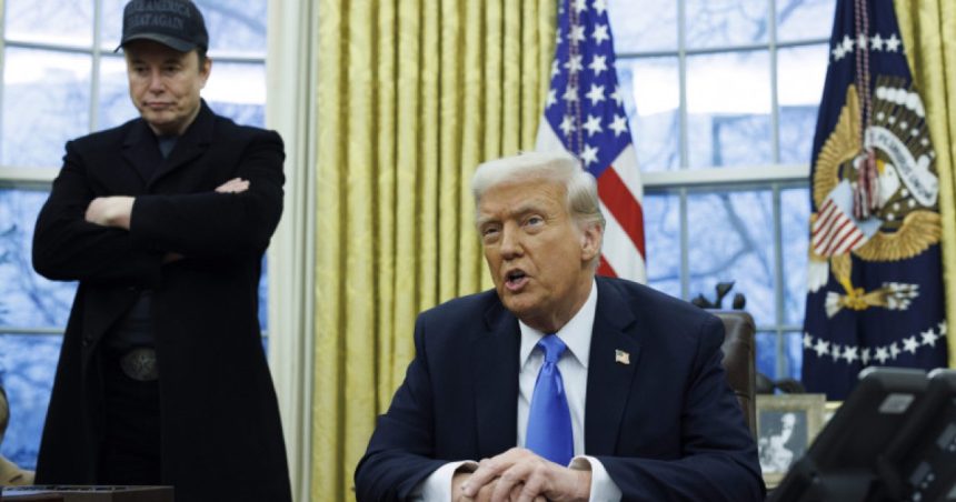 Trump facilitează accesul la cetăţenia americană pentru fermierii sud-africani. Nemulțumirile lui Musk față de țara natală 1 trump faciliteaza accesul la cetatenia americana pentru fermierii sud africani ce nemultumiri are musk fata de tara in care s a nascut 67cb31d99f1ee