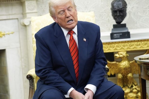 trump spune ca are o influenta asupra rusiei dar ca nu vrea s o foloseasca acum ce spune despre declaratiile lui putin privind pacea 67d3455a3226e