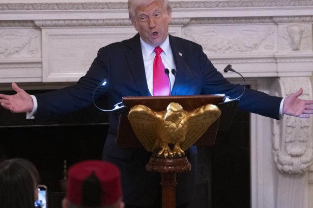 trump vrea tot sua cer ucrainei 100 din veniturile obtinute din resursele naturale plus dobanda 67e690b783e33