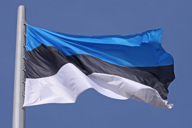 un cetatean ruso estonian a fost condamnat pentru inalta tradare ce acuzatii i au adus procurorii de la tallinn 67e3c03b445ac